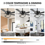 Ventilateur de plafond LED d'intérieur moderne chromé/noir à intensité variable avec lumière et télécommande