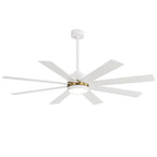 Ventilateur de plafond LED noir à 8 pales de 65 pouces avec éclairage et télécommande
