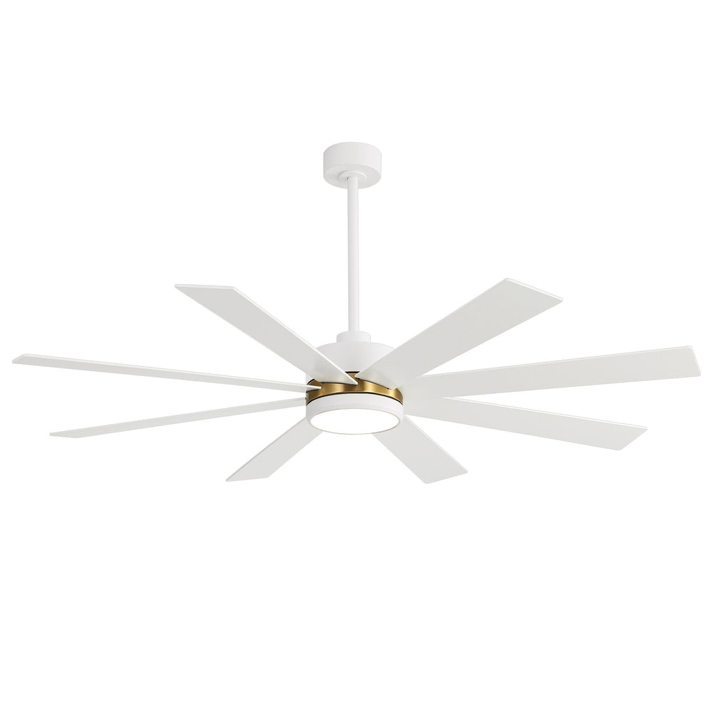 Ventilateur de plafond LED noir à 8 pales de 65 pouces avec éclairage et télécommande