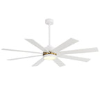 Ventilateur de plafond LED noir à 8 pales de 65 pouces avec éclairage et télécommande