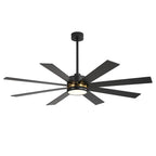 Ventilateur de plafond LED noir à 8 pales de 65 pouces avec éclairage et télécommande