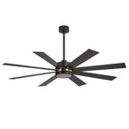 Ventilateur de plafond LED noir à 8 pales de 65 pouces avec éclairage et télécommande