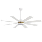 Ventilateur de plafond LED noir à 8 pales de 65 pouces avec éclairage et télécommande