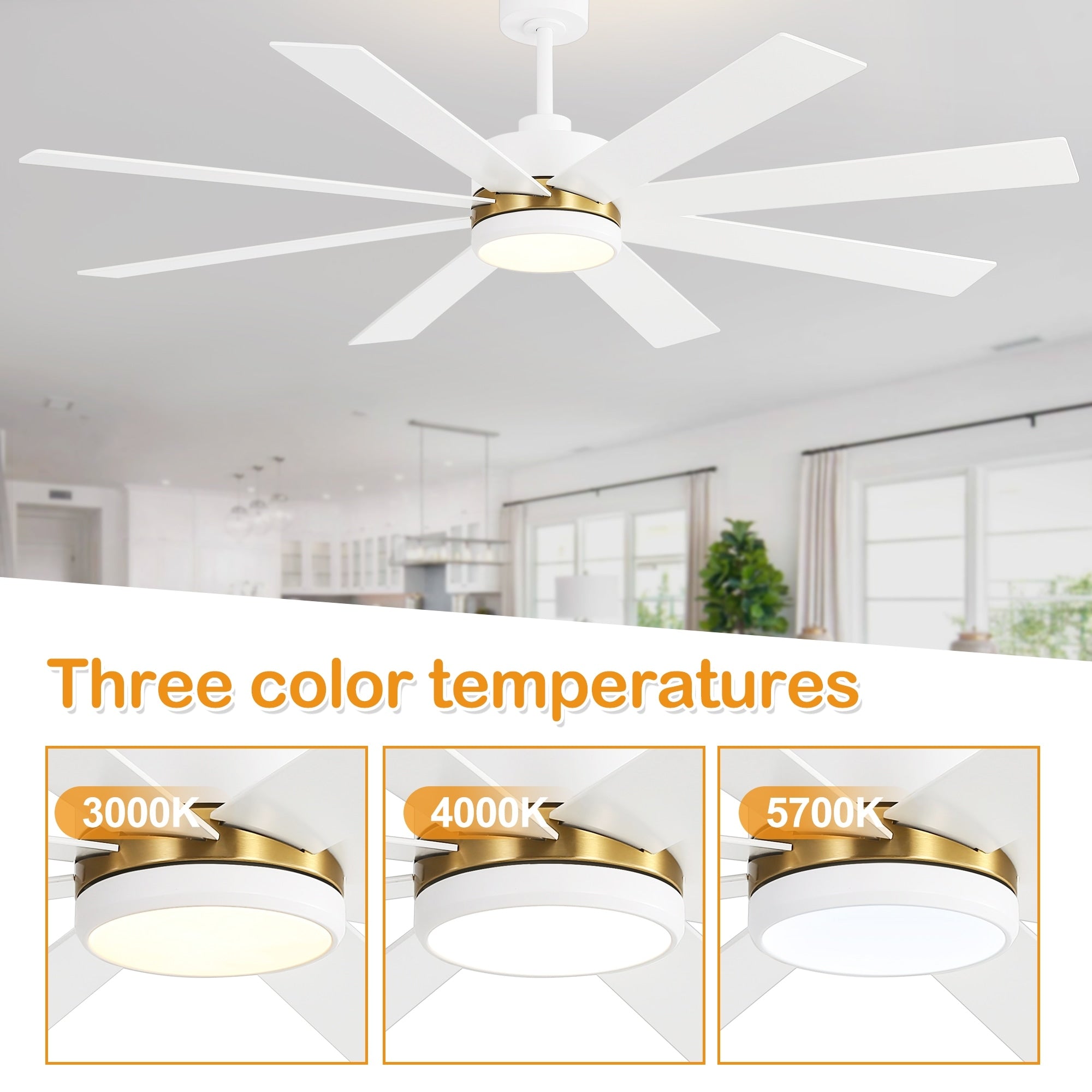 Ventilateur de plafond LED noir à 8 pales de 65 pouces avec éclairage et télécommande