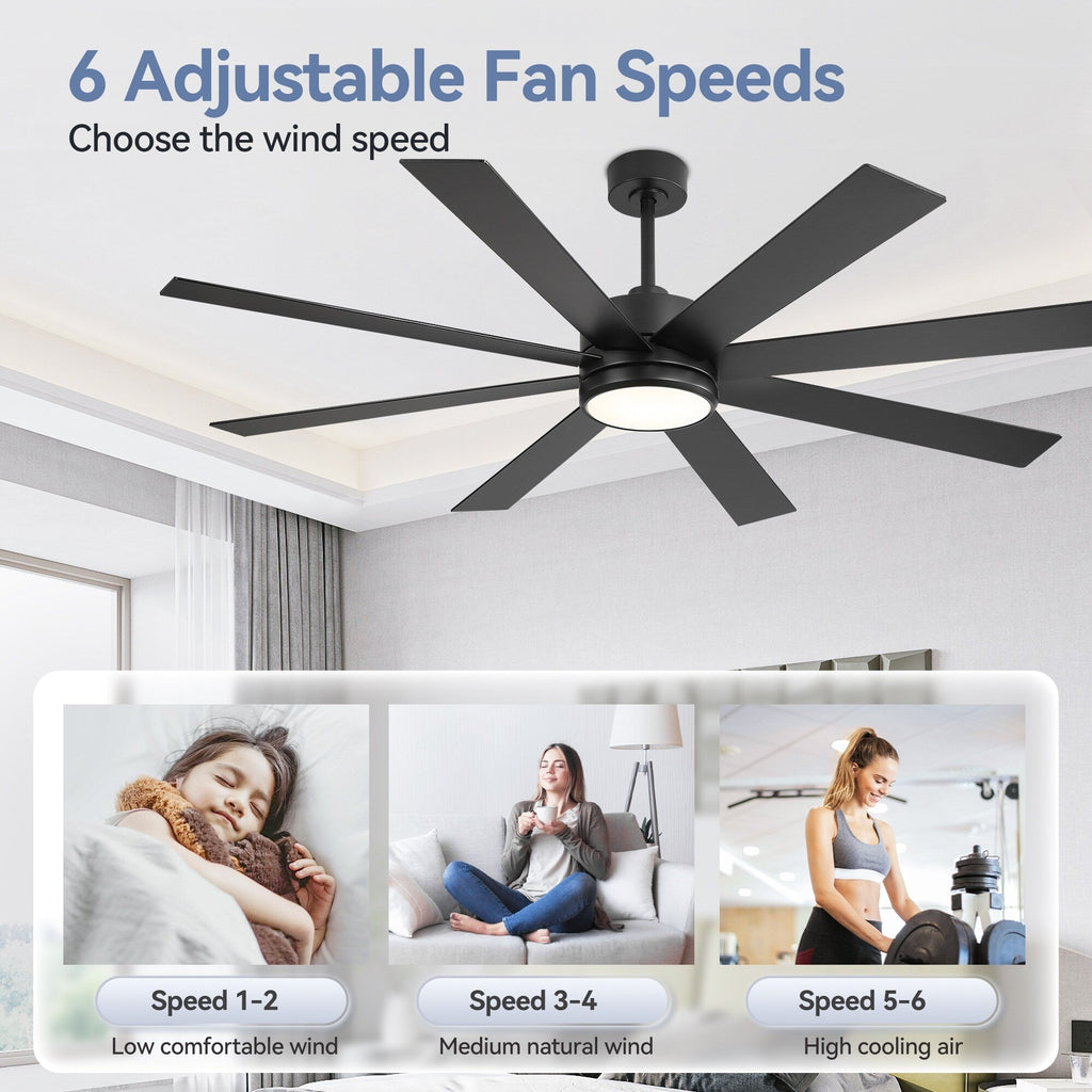 Ventilateur de plafond LED noir à 8 pales de 65 pouces avec éclairage et télécommande