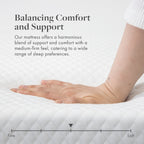 Matelas en mousse à mémoire de forme gel de qualité supérieure SoftNest Rejuv Collection de 6 pouces