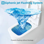 Toilette compacte monobloc CB HOME 24 po, siphon moderne à double chasse, siège à fermeture douce, hauteur confortable 16,5 po