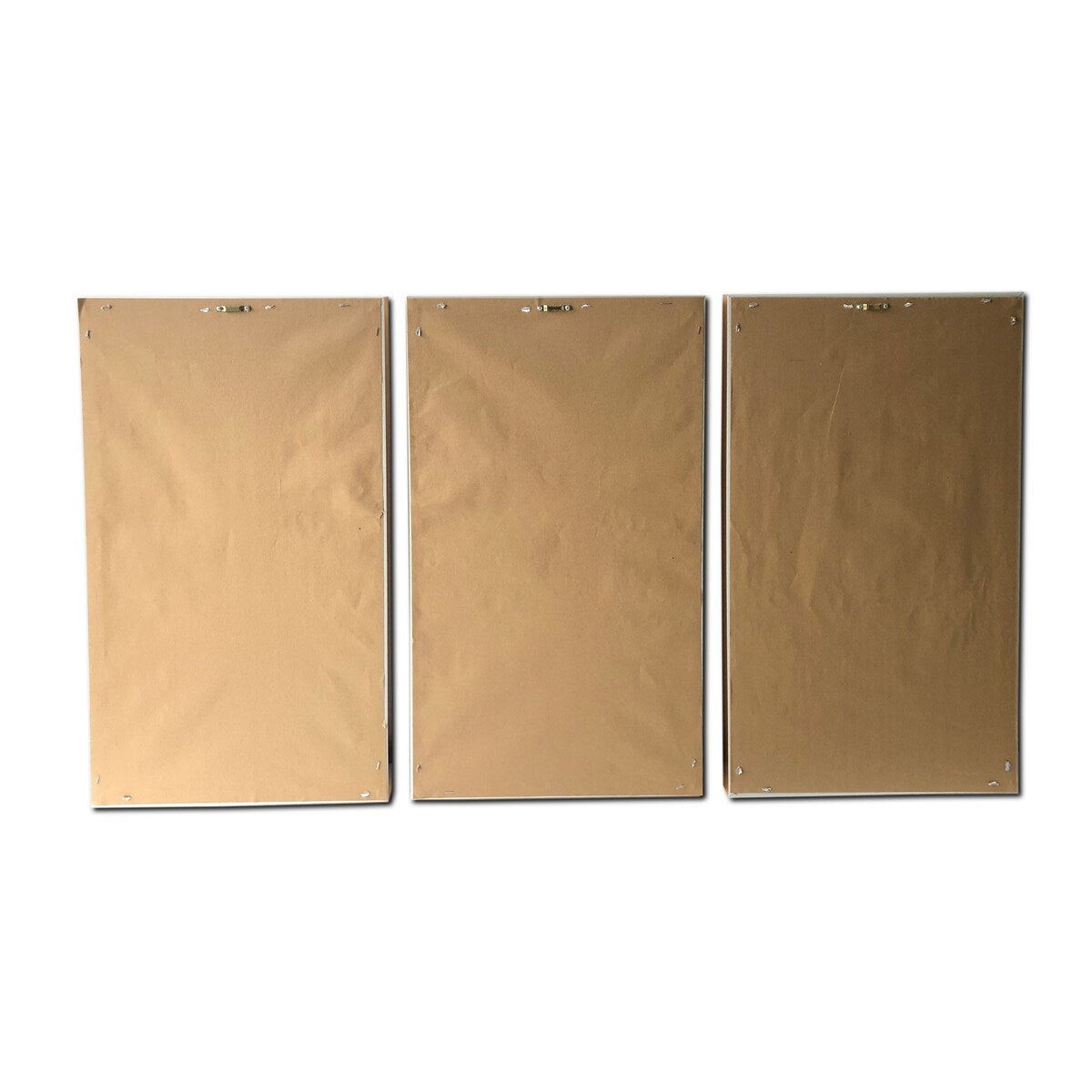 Ensemble de 3 impressions sur toile encadrée dorée Golden Birds