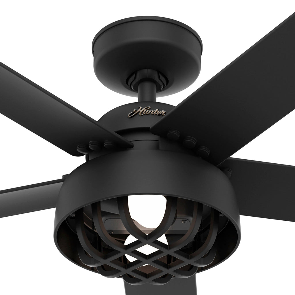Ventilateur de plafond Hunter 52 Autumn Breeze II, éclairage LED intérieur/extérieur et télécommande portable - Style industriel, transitionnel, moderne, en cage