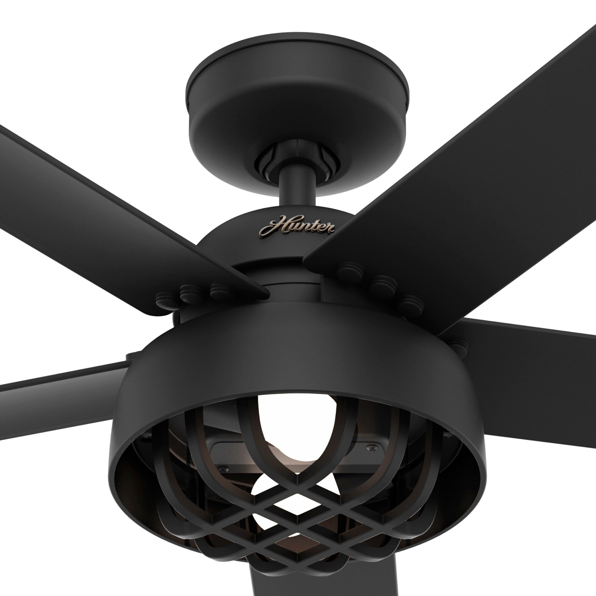 Ventilateur de plafond Hunter 52 Autumn Breeze II, éclairage LED intérieur/extérieur et télécommande portable - Style industriel, transitionnel, moderne, en cage