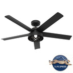 Ventilateur de plafond Hunter 52 Autumn Breeze II, éclairage LED intérieur/extérieur et télécommande portable - Style industriel, transitionnel, moderne, en cage