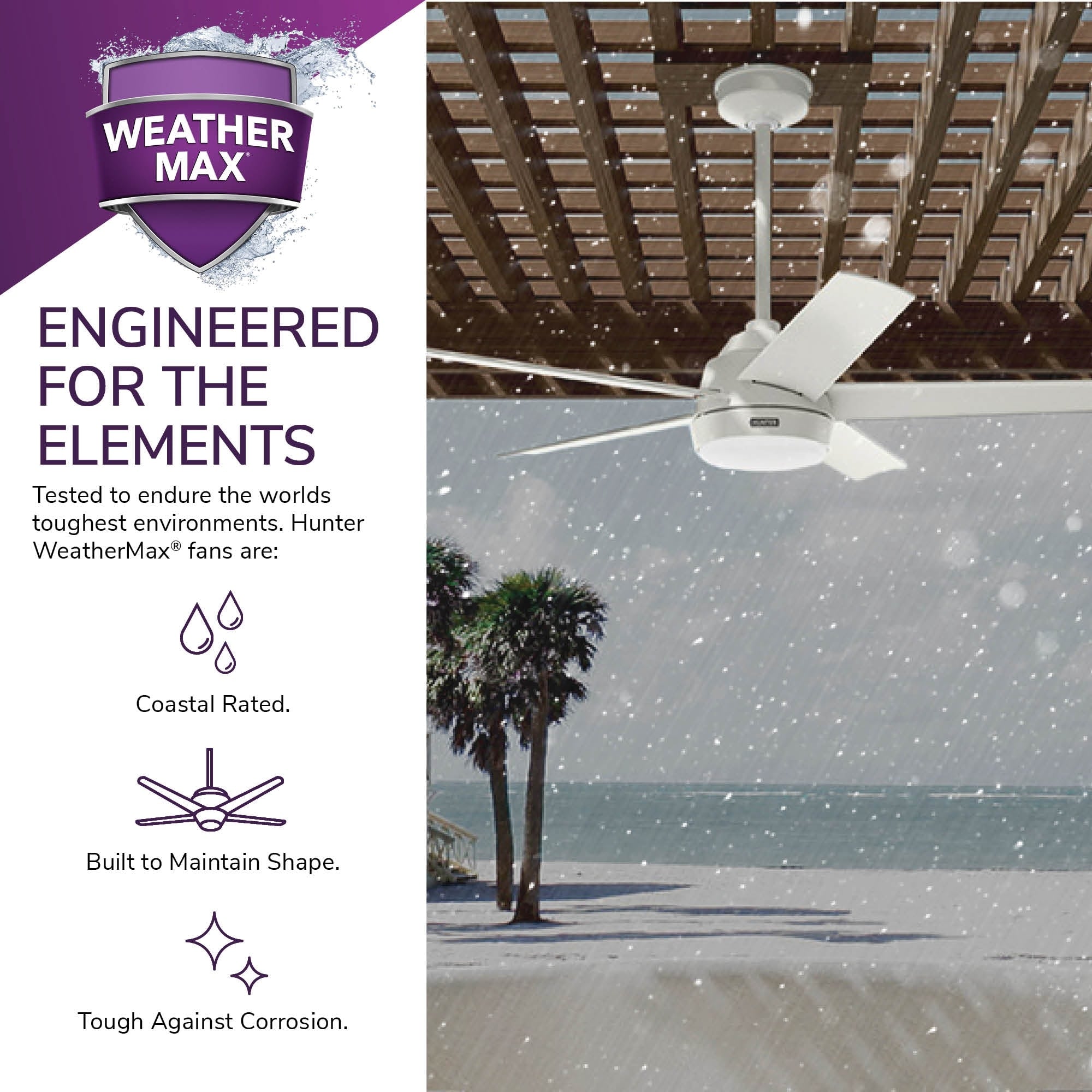 Ventilateur de plafond extérieur Hunter 52 Skyflow avec kit d'éclairage LED, commande murale - Côtier moderne contemporain - WeatherMax - CLASSÉ HUMIDE !