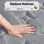 Matelas hybride Modland 14 pouces à plateau-coussin moyen, matelas à ressorts ensachés dans une boîte