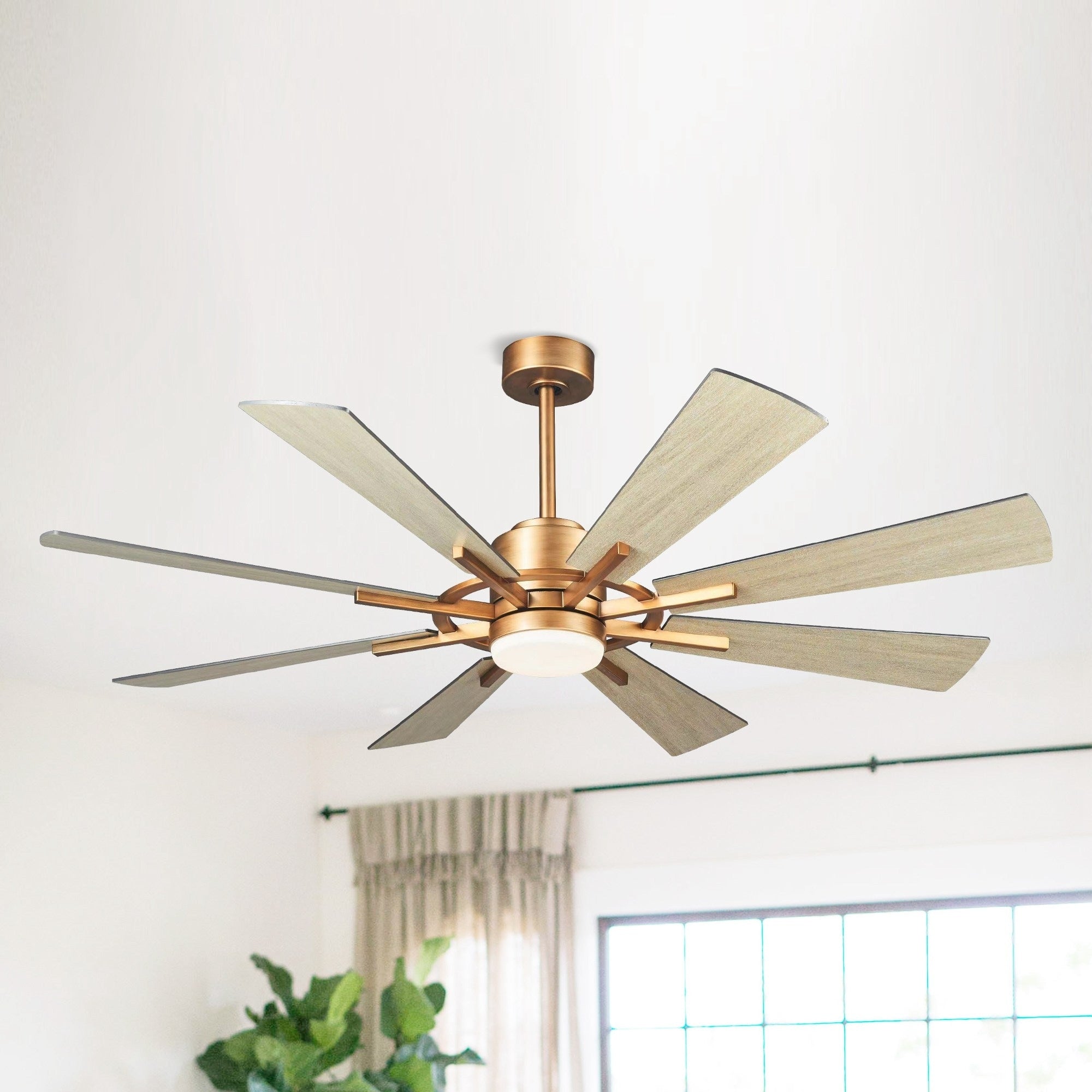 Ventilateur de plafond à LED intégré Parrot Uncle 60 Farmhouse avec lumière et télécommande