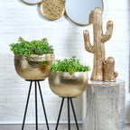Sagebrook Home Lot de 2 jardinières robustes en fer sur supports modernes - Transformez votre espace de vie en oasis